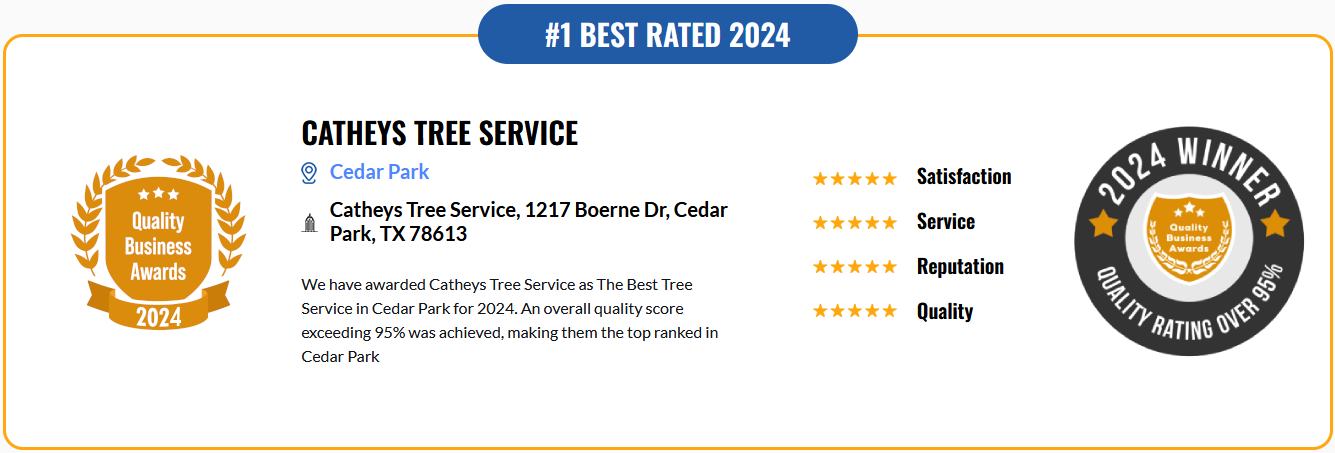 Number 1 best rated tree service in cedar park 2024