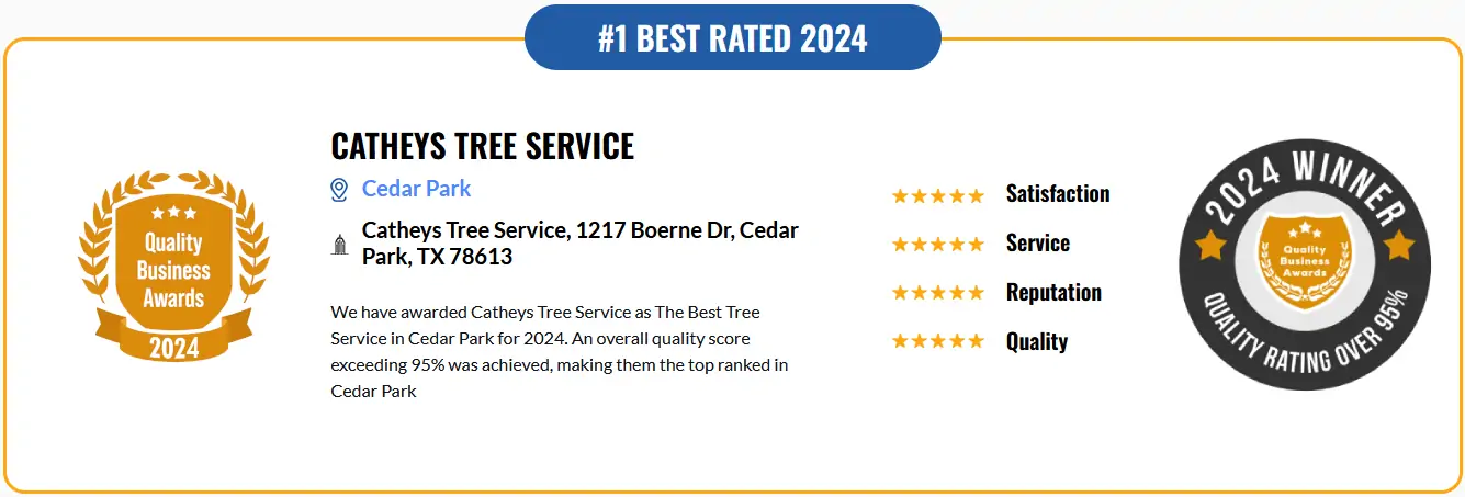 Number 1 best rated tree service in cedar park 2024